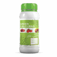 جرين كالسي ماج