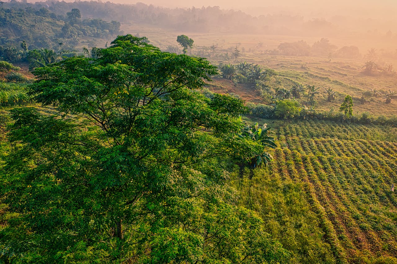 Scenic aerial view of vibrant farmlands and greenery in West Java, Indonesia.