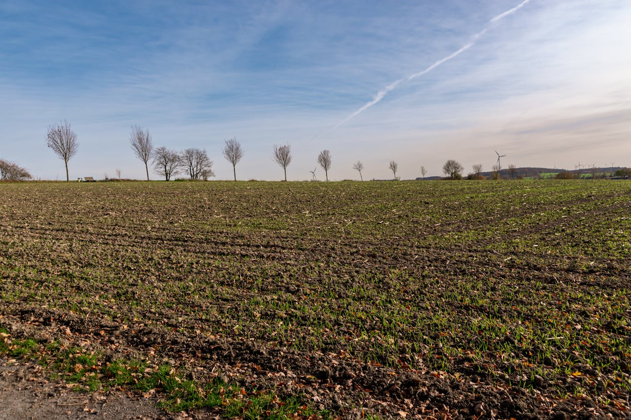 Peaceful rural scene with bare trees, a plowed field, and cloudy sky on a sunny day.